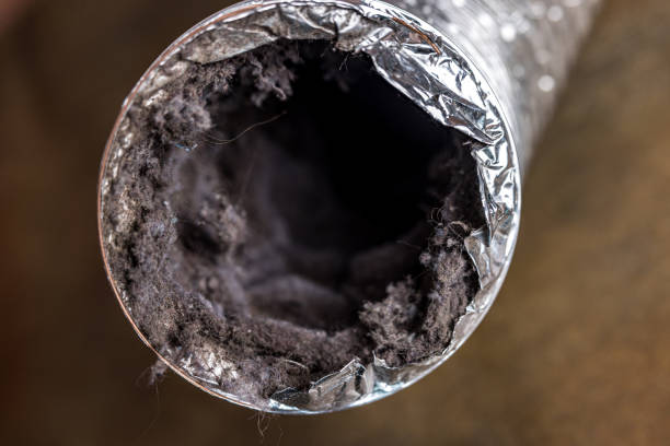 Affordable HVAC Duct Cleaning in Centerville, CA